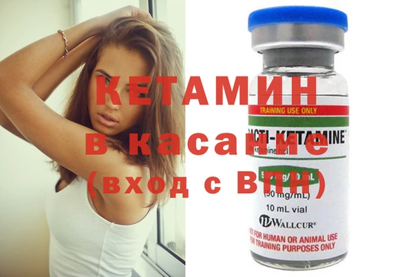 гидра Вязьма