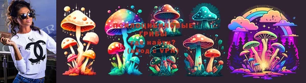 стаф Корсаков