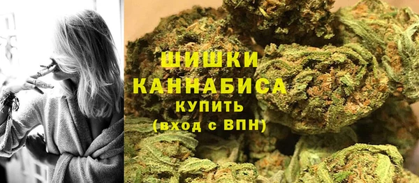 стаф Корсаков