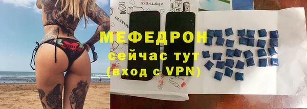 гидра Вязьма