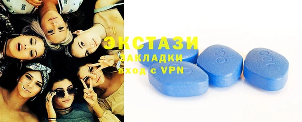 гидра Вязьма