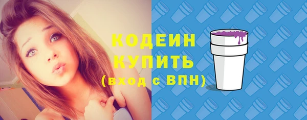 гидра Вязьма