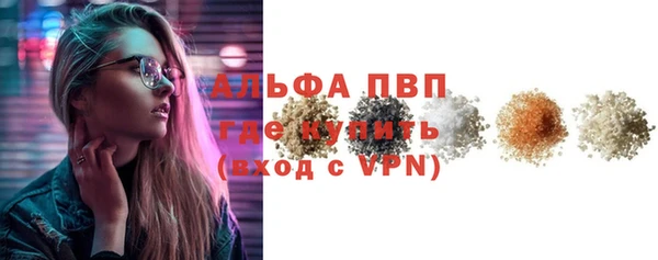 гидра Вязьма