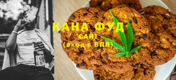 гидра Вязьма