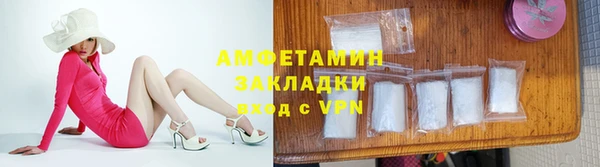 гидра Вязьма