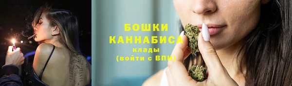 гидра Вязьма