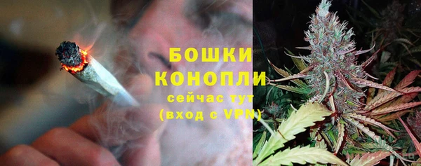 ALPHA-PVP Вяземский